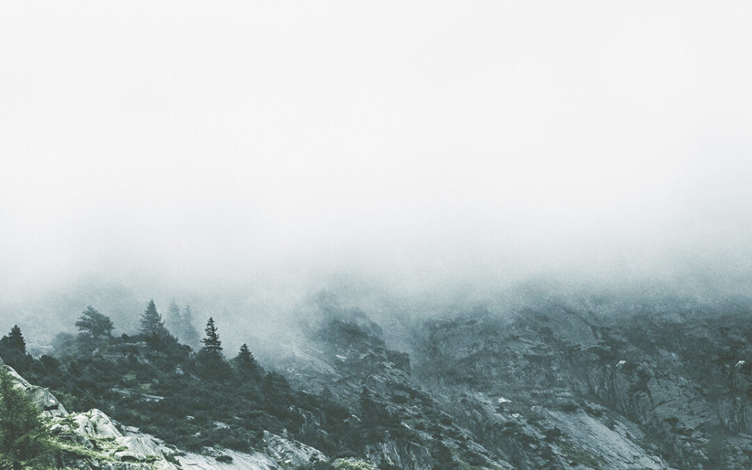 How to Manage Your Carbon Impact