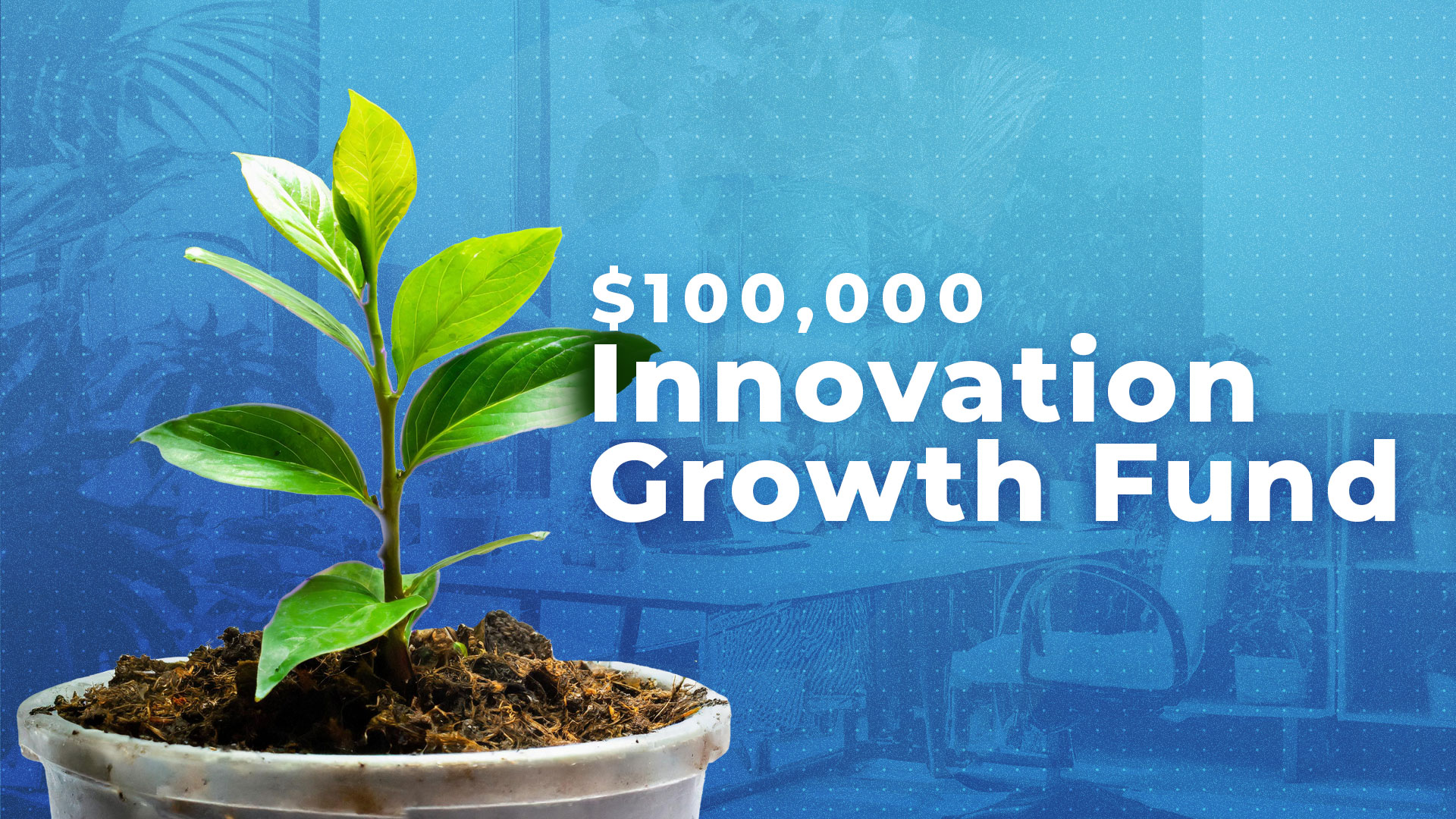 IGF Photo of a plantling, with the text "$100k Innovation Growth Fund"
