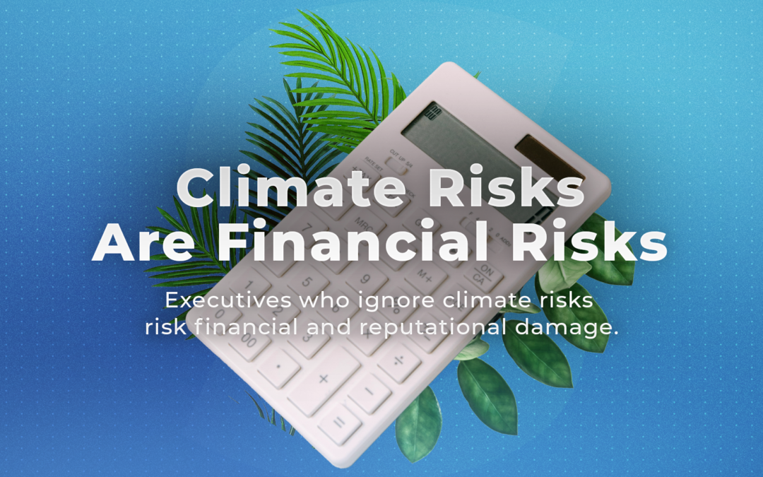Climate Risks Are Financial Risks