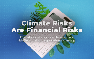 Climate Risks Are Financial Risks