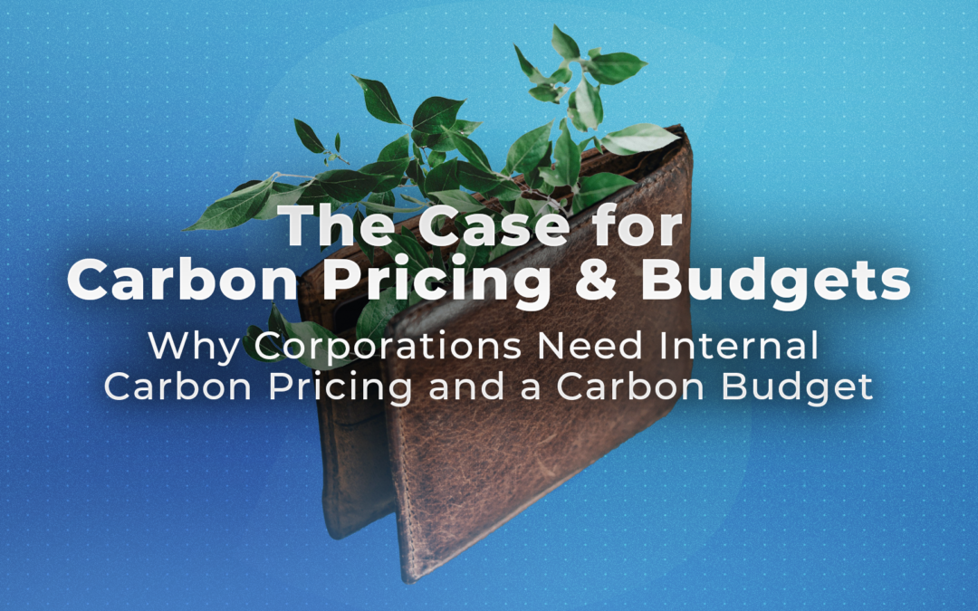 Why Corporations Need Internal Carbon Pricing and a Carbon Budget